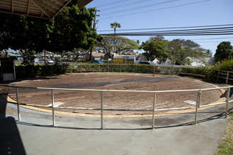 Click to enlarge